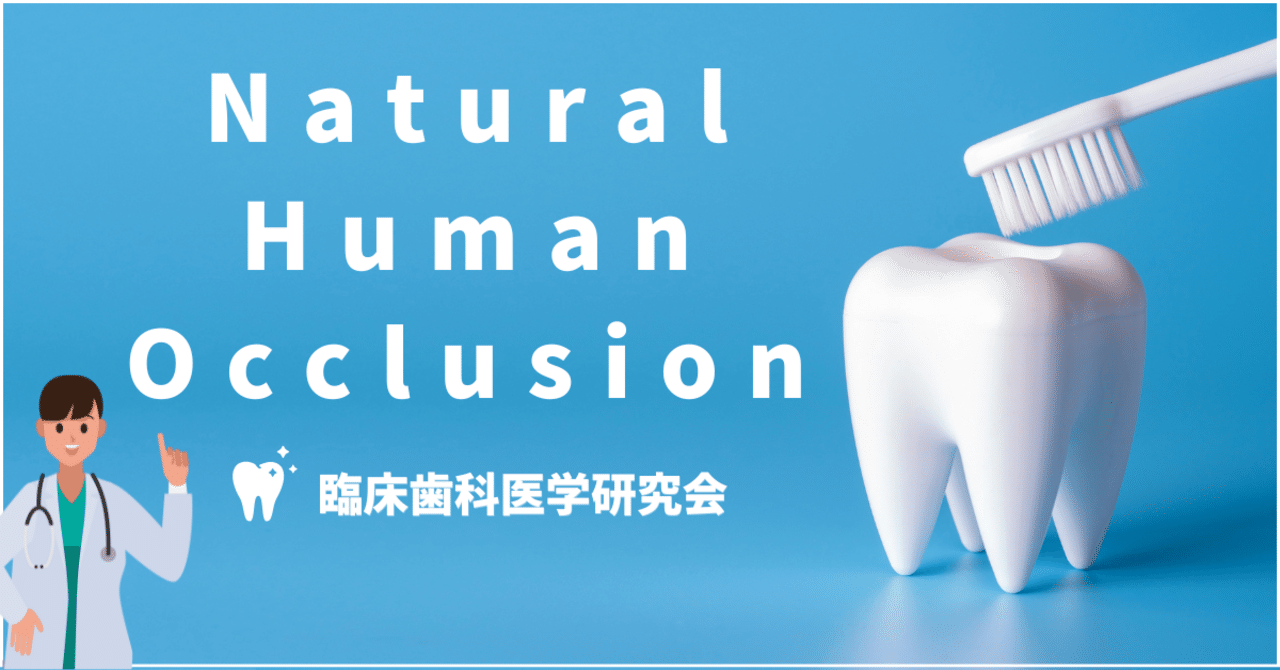咬合理論（リンガライズドオクルージョン）について！｜Hiro
