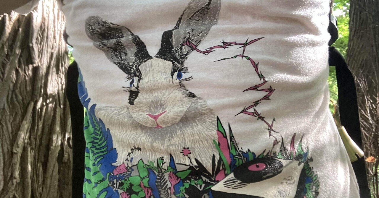14】僕の好きなTシャツ（小沢健二）｜たばやまたばお