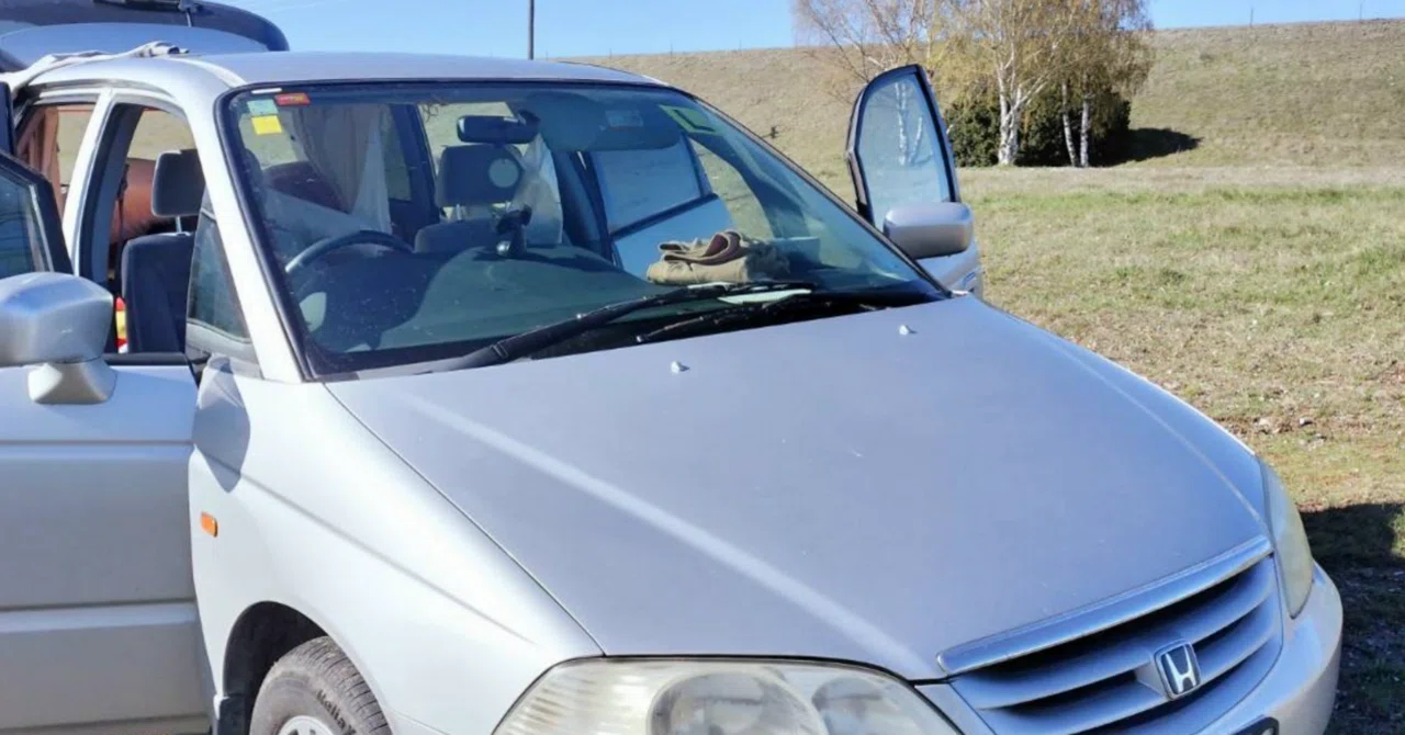 NZワーホリ】 #10 ニュージーランドで中古車を購入した話｜aska