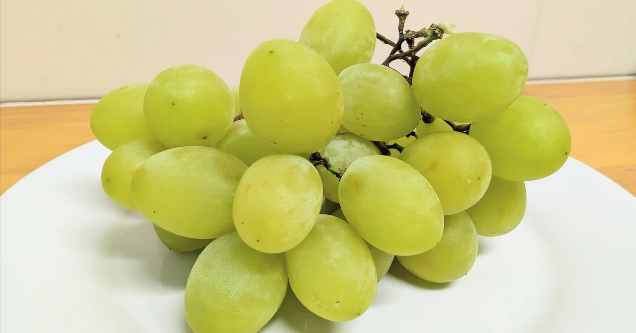 Cotton candy flavored grapes?! What are Cotton Candy grapes?｜M / AIと ...