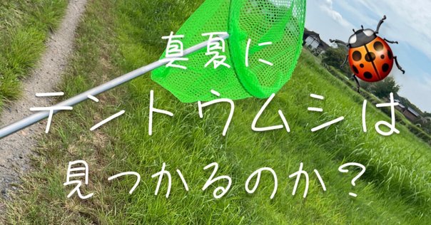 ゲッチョ先生のイモムシ探検記 ゲッチョ先生（盛口満先生）の新刊発売！｜「少年写真新聞社」のnote