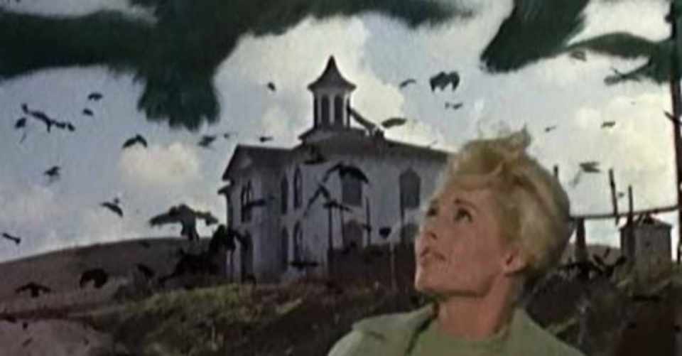 映画 アルフレッド ヒッチコック 鳥 1963 解説 あらすじ Gaku Note