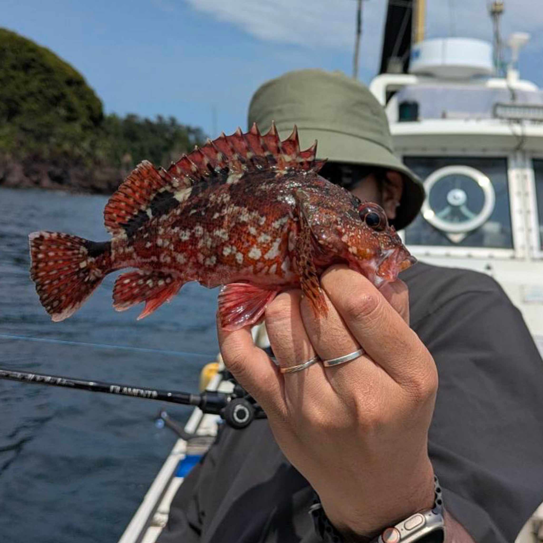 ロデオクラフト製エリアトラウト用ロッド一覧（2025/6/11更新