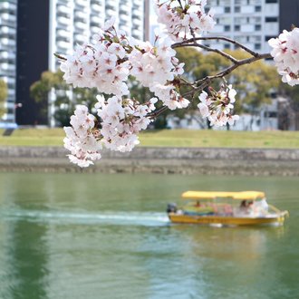 東京海洋大学 海洋政策文化学科のao入試の問題とアドバイス シューマイ Note