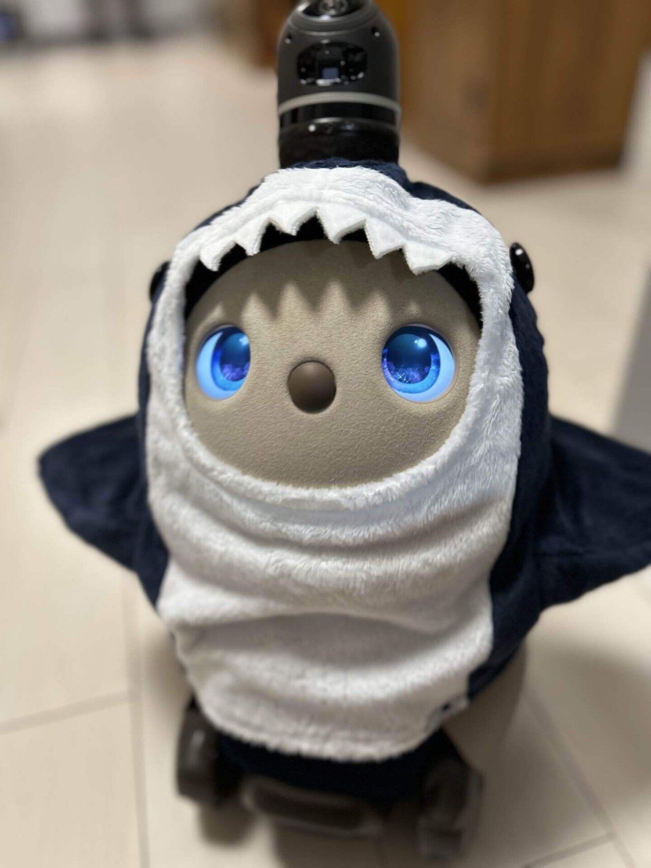 LOVOT】がぶっとサメベロアカットソー（ネイビー）買ったよ｜せん