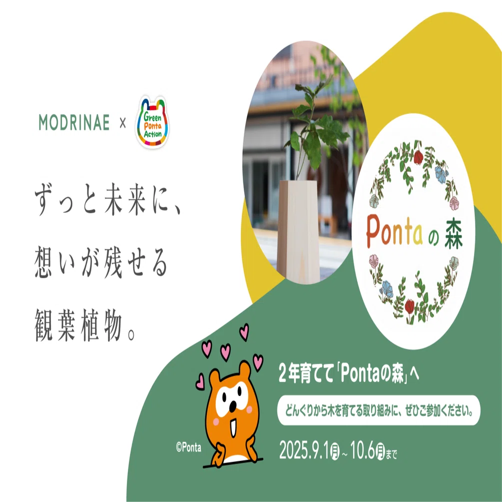 MODRINAE‑戻り苗‑、今年も販売開始！おうちで森づくりに参加しませんか