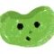 soramame