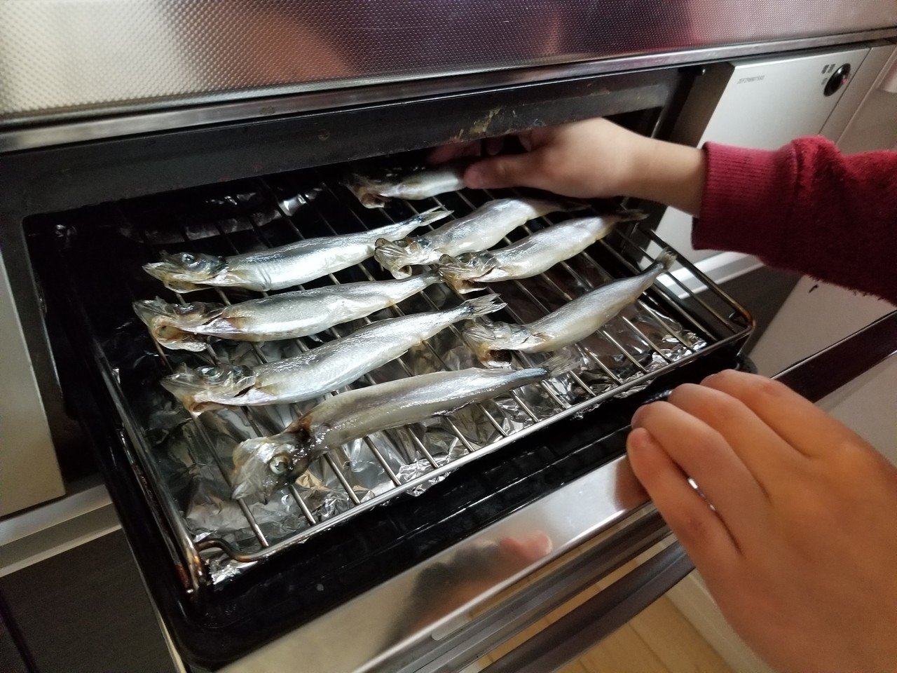 休校中の小2の息子に 一緒にししゃもをグリルで焼いたら 棒が刺さっている姿を見て こいのぼりみたい だそうです 新鮮な発想 休み中くらいは小さなことでも一緒にやると親子で新たな発見があるね 綺麗道 きれいどう からだ攻略 健康食鑑定士 Note 休校中の小2の息子に 一緒にししゃもをグリルで焼いたら 棒が刺さっている姿を見て こいのぼりみたい だそうです 新鮮な発想 休み中くらいは小さなことでも一緒にやると親子で新たな発見があるね 綺麗道 きれいどう からだ攻略 健康食鑑定士 Note
