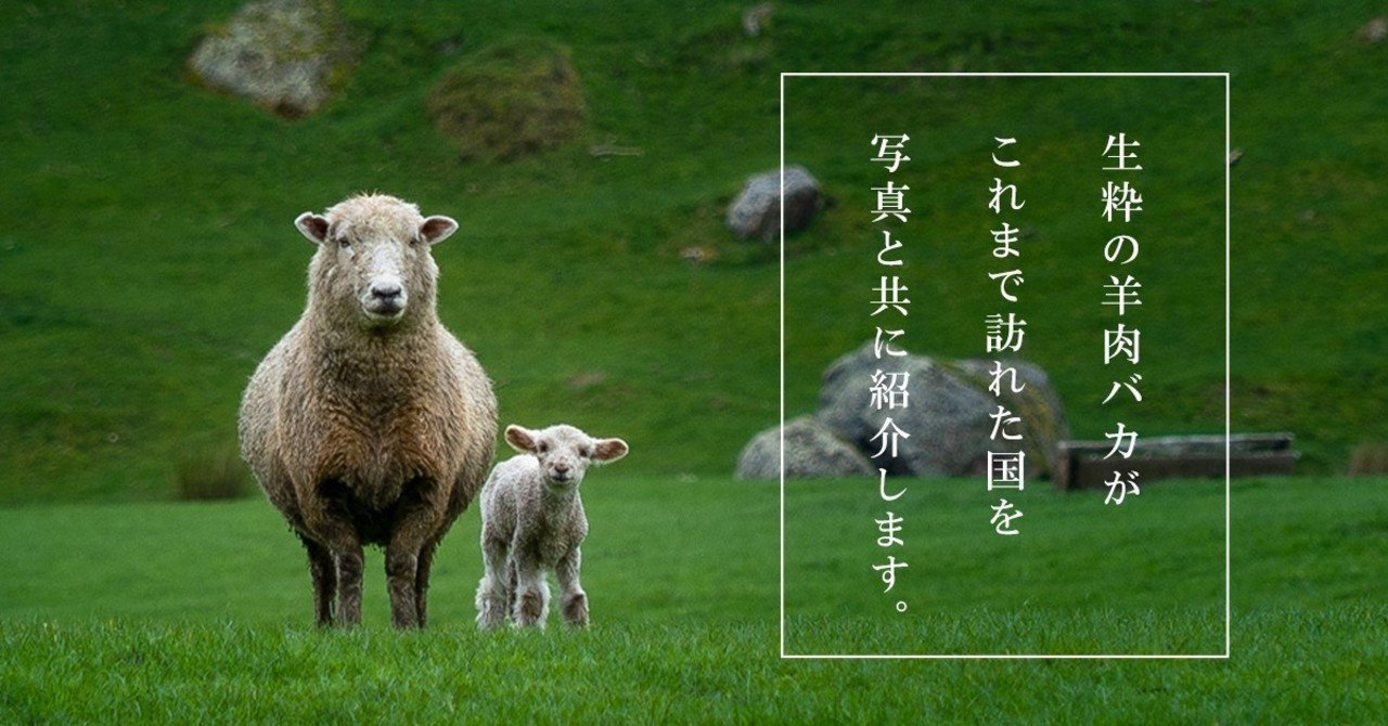 高い信頼 厚い信頼 まだ見ぬ羊を求めて、地球を一周してきた」｜Shinnosuke Namikata カーペット一般
