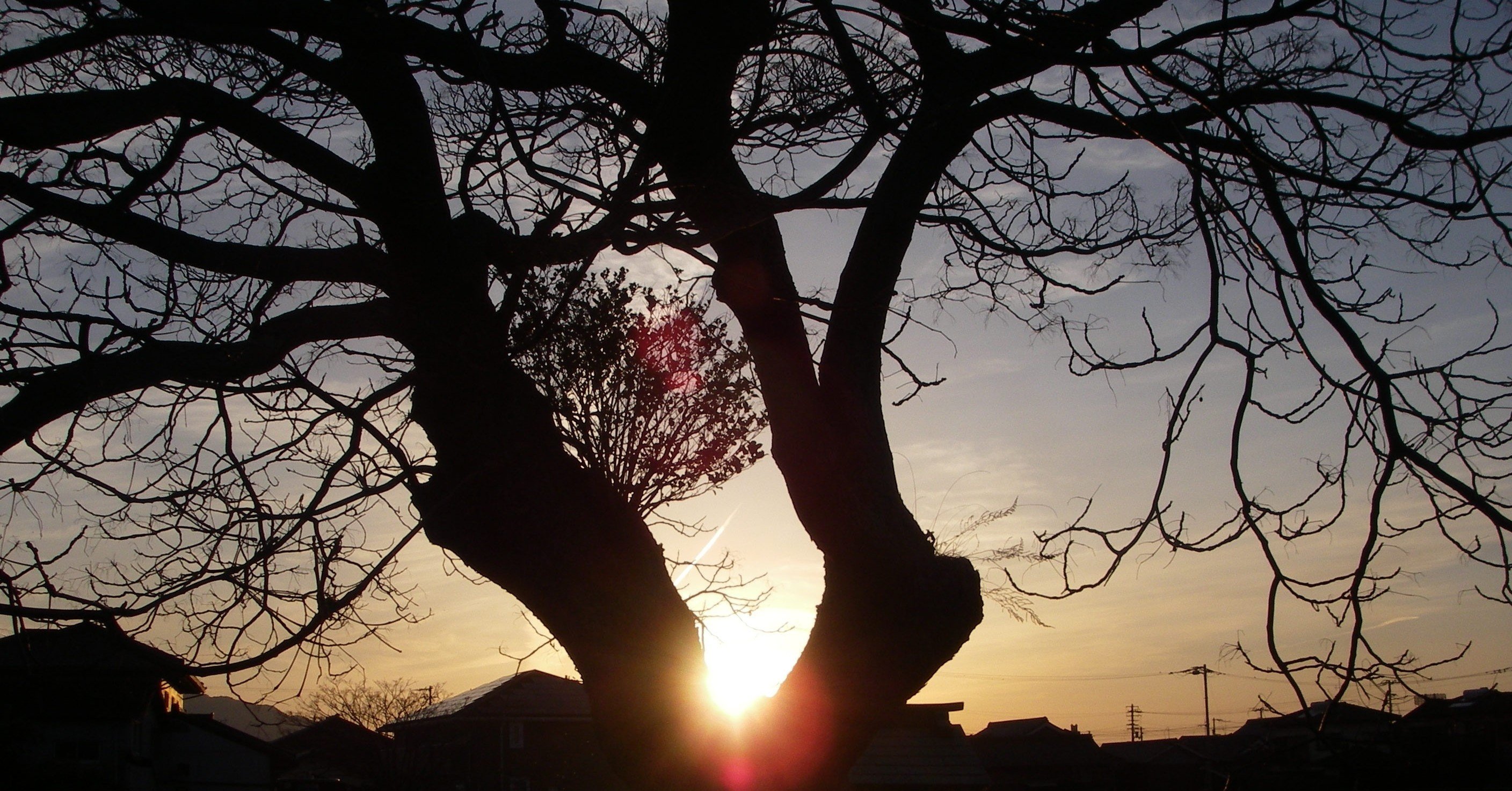 あんときのデジカメ 讃岐の春の夕景 with PENTAX Optio WPi あんときのデジカメ 讃岐の春の夕景 with PENTAX Optio WPi