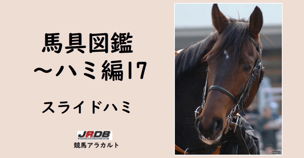 トライアビット 競馬ハミ使用済み