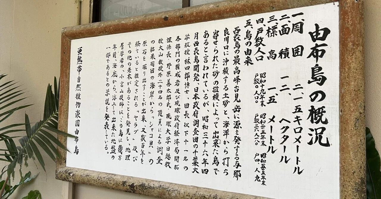 石垣島旅行記④水牛とブーゲンビリア編｜明智 (Naoko.A)