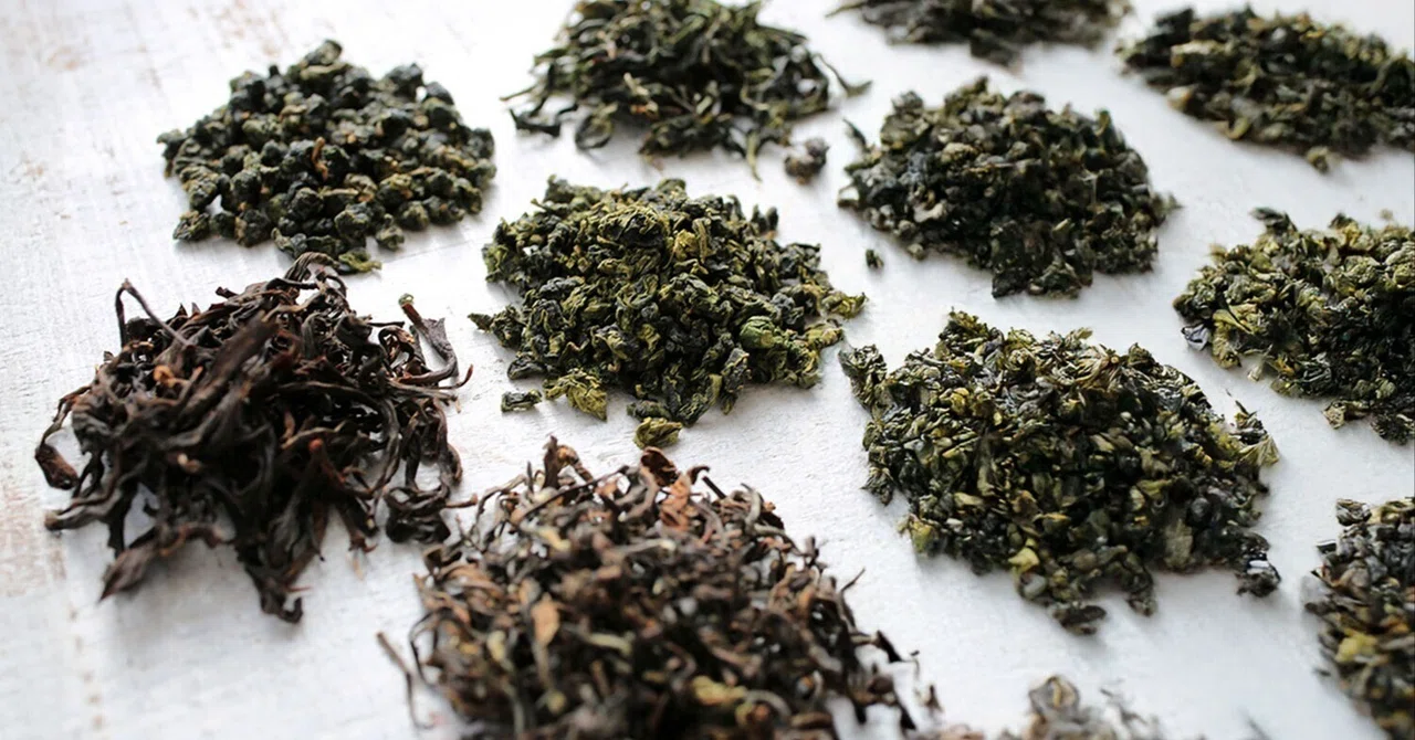 A Thorough Explanation of Taiwan High Mountain Tea Types, Aromas, and ...