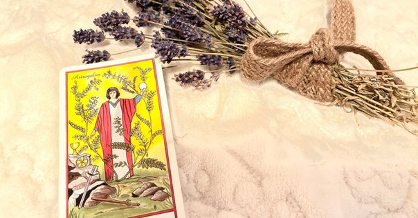 The Green Witch's Oracle Deck｜さとうかよこ（きらら舎）