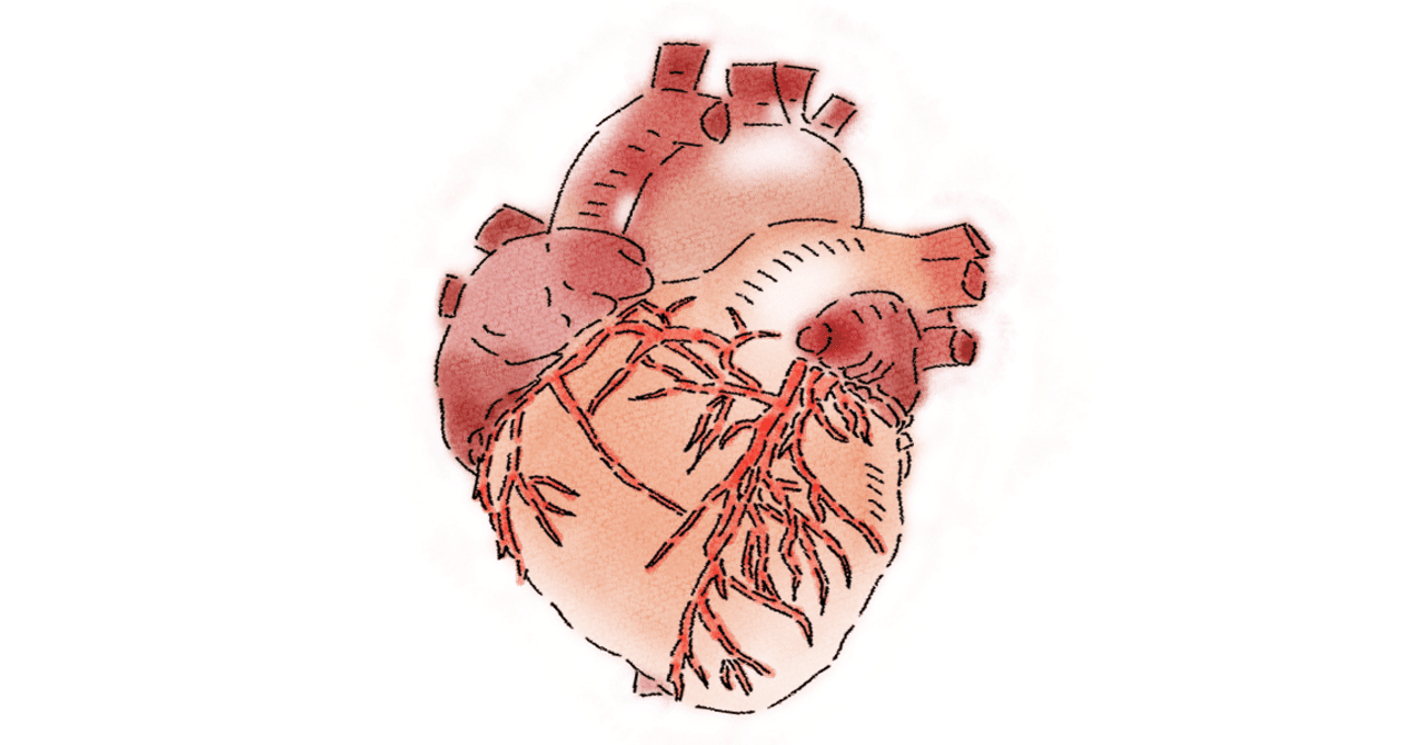 心臓音のアーカイブ｜うららかな日向