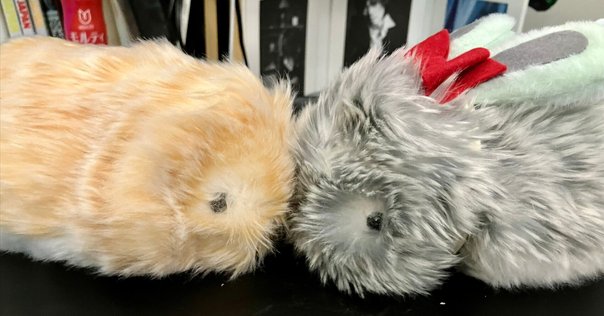 モフリン Moflin クラファン版 カシオが作ったモフモフAIロボット 生き物らしい「可愛さ」を