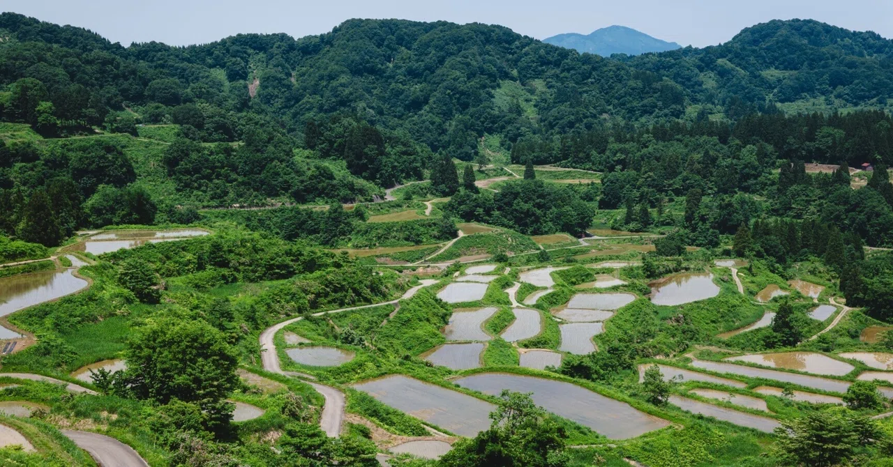 旅の写真日記(新潟/十日町)｜反 町 。