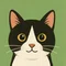 せさみそると