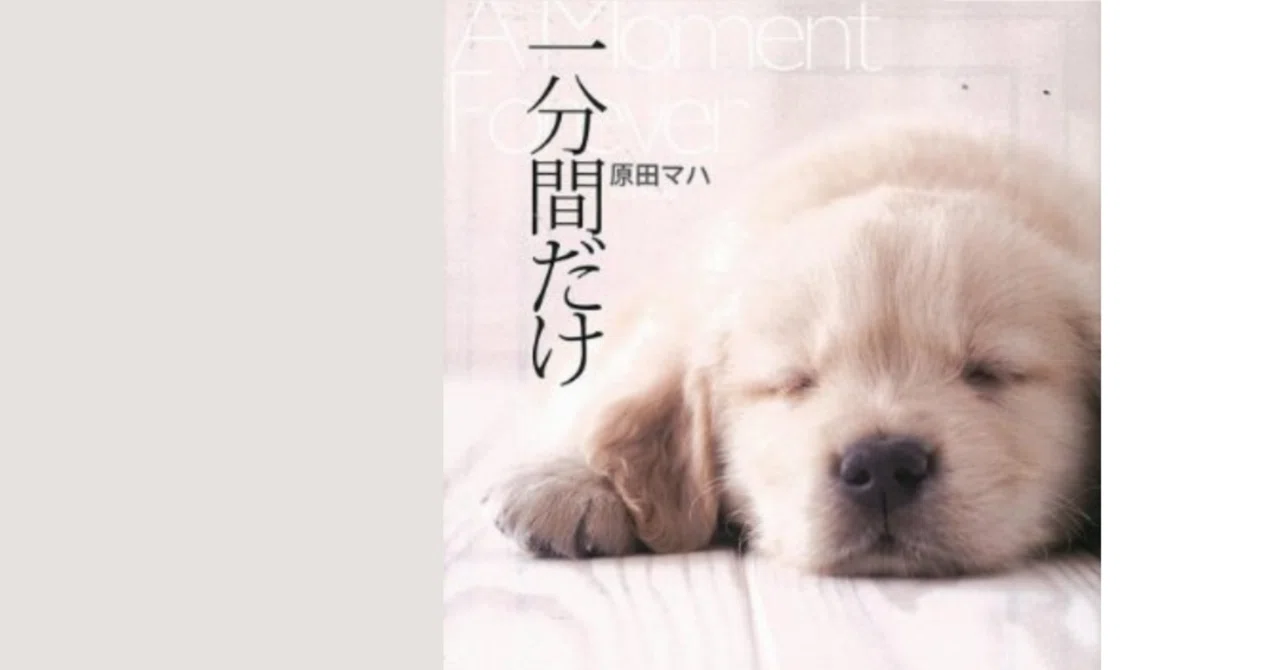 読書感想】日常に嫌気がさしてる人へ。号泣必至の感動作「一分間だけ 