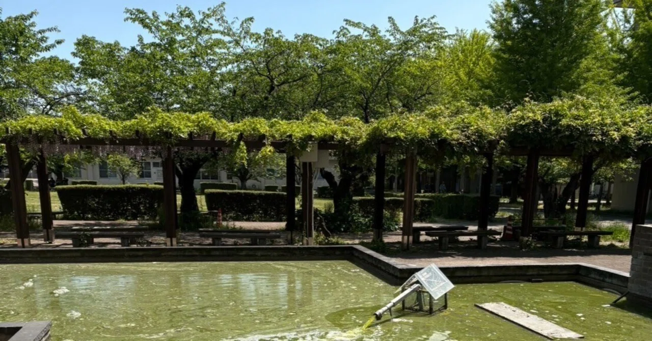 令和8年度 信州大学 工学部 電子情報システム工学科 3年次編入学試験 
