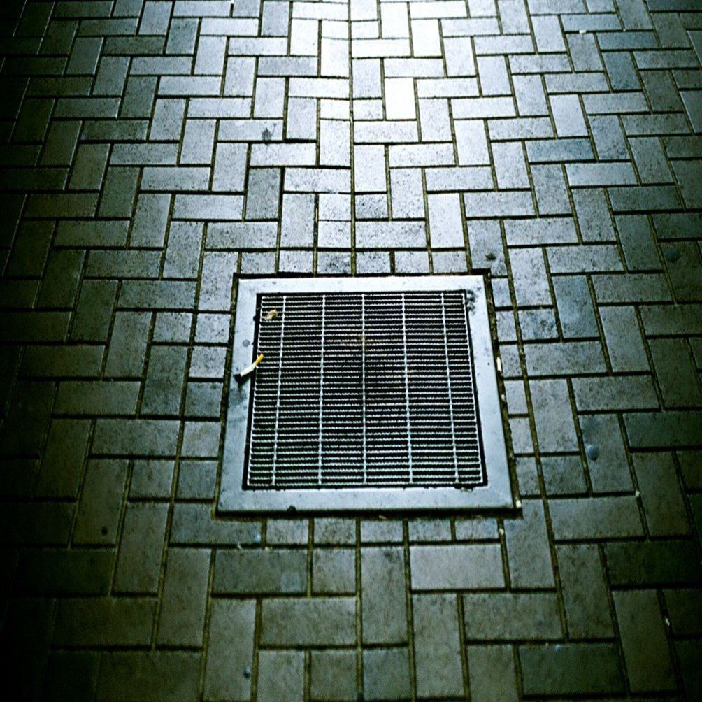 理解不能なこと。(Macro-Elmarit-R 60mm F2.8 レンズテスト)｜篠山吉信(きっちん篠山) | 写真作家 | 写真研究家