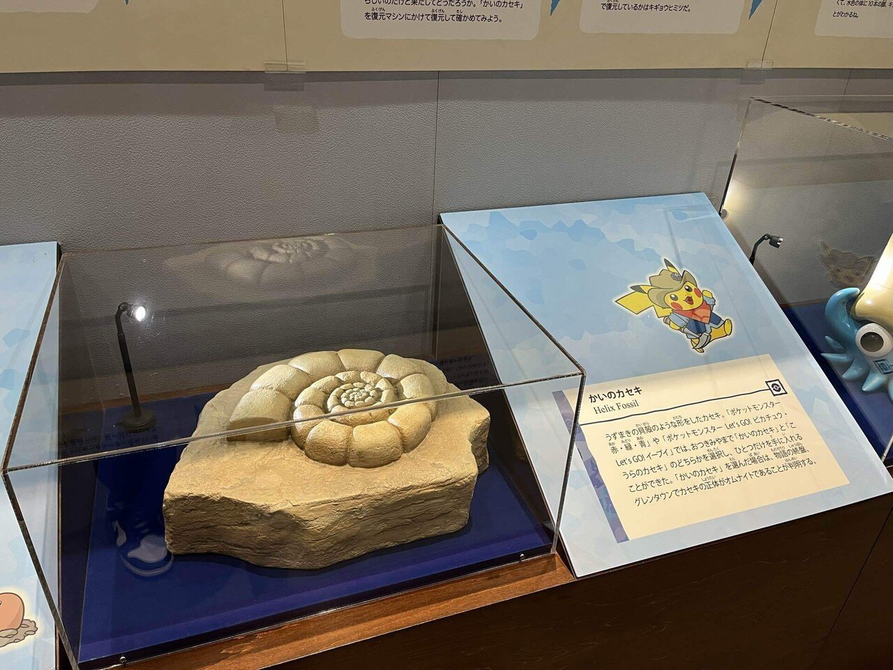 化石ポケモンと、恐竜を調査せよ！｜よねざわぽとふ