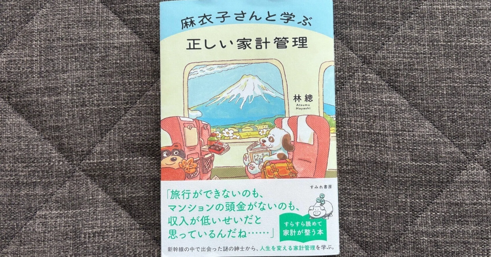 麻衣子さんと学ぶ正しい家計管理』｜大杉潤@定年起業