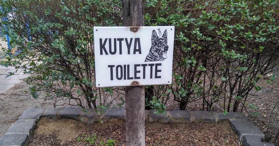 犬のトイレ 砂糖敦子 Note