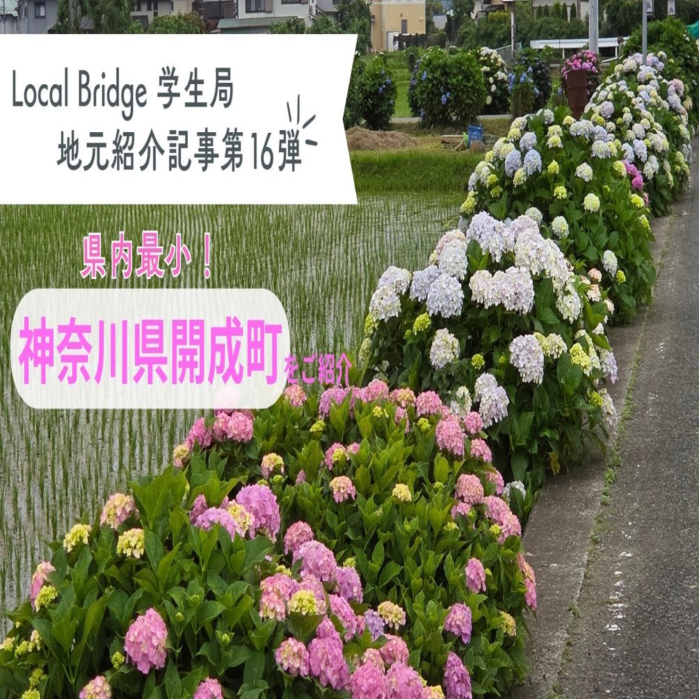 地元紹介記事第16弾】県内最小！神奈川県開成町をご紹介｜Local Bridge