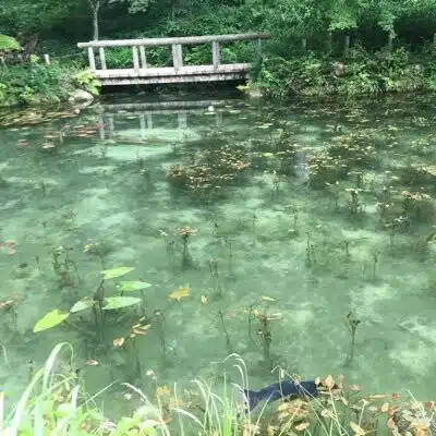 みつき