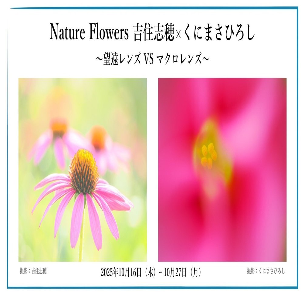 2025年10月16日（木）ｰ 10月27日（月）Nature Flowers 吉住志穂×くに