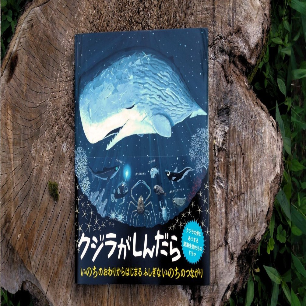 クジラがしんだら』基本情報｜江口絵理