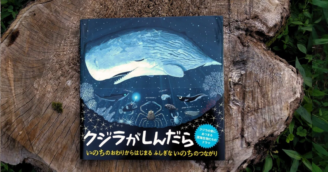 クジラがしんだら』基本情報｜江口絵理