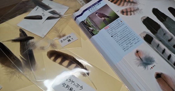 鳥の羽 ZXM-LTME-(1) - [NXSM-SU-(2) 2枚] NXSM-SLU-(1) NXSM-4ACOU