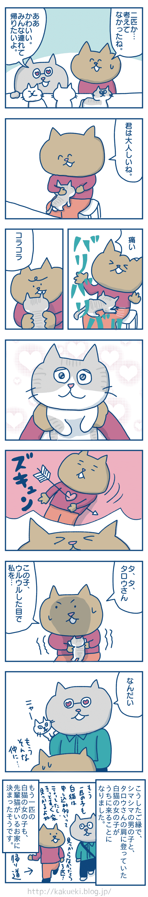 猫が家にやってくるまでの話 各駅ノミ Note 猫が家にやってくるまでの話 各駅ノミ Note