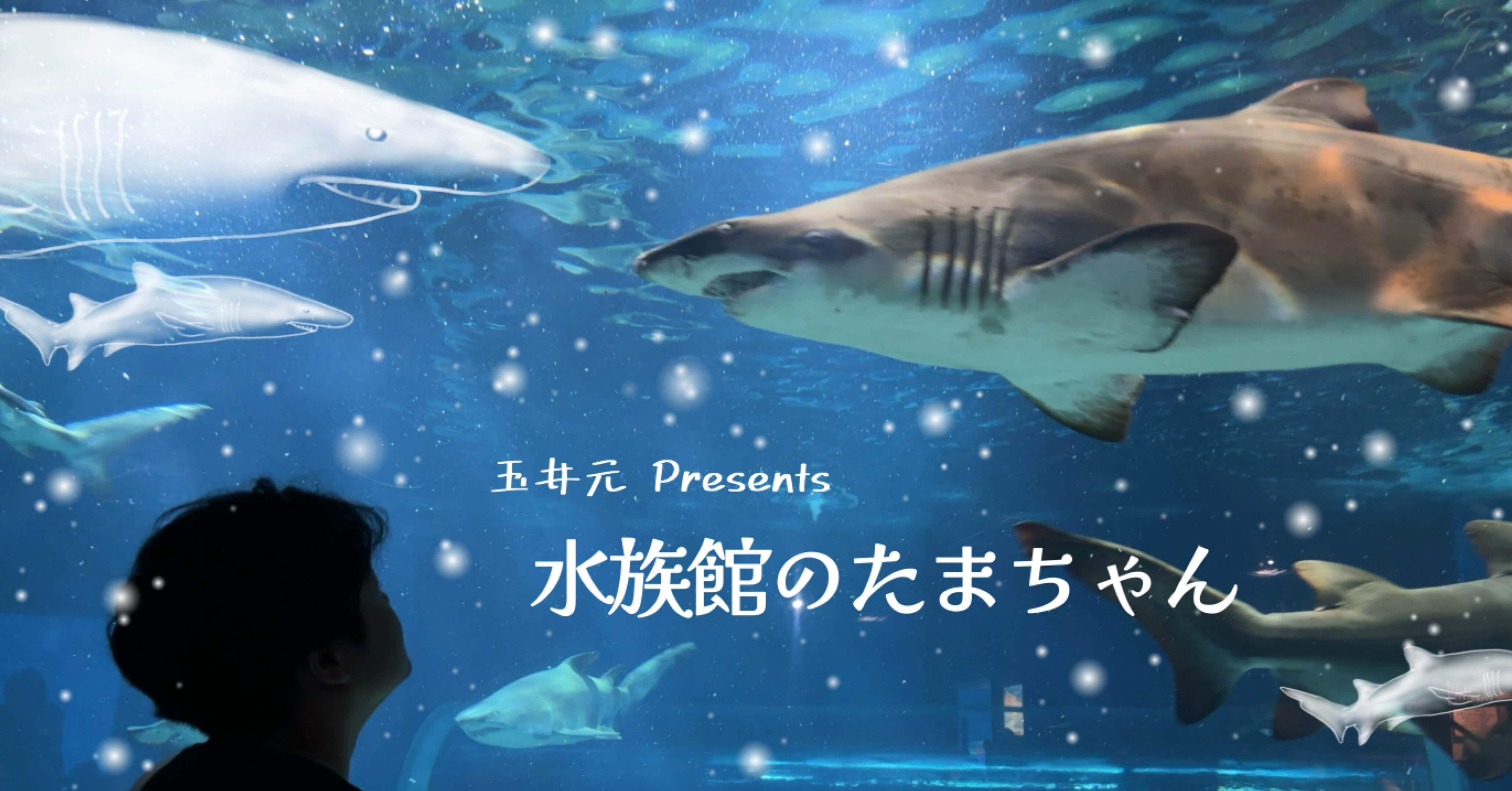 水族館のたまちゃん〜2025夏休み大型企画〜Part1｜新日本