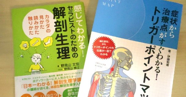 Hadzic's 超音波ガイド下末梢神経ブロックと解剖 　裁断済み MEDSi)株式会社 メディカル・サイエンス・インターナショナル