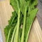 野沢菜