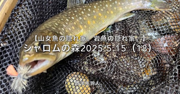 釣種...ルアー 魚種...トラウト ロデオクラフト　999.9 60SUL 釣種ルアー 魚種トラウト ロデオクラフト 999.9 60SUL