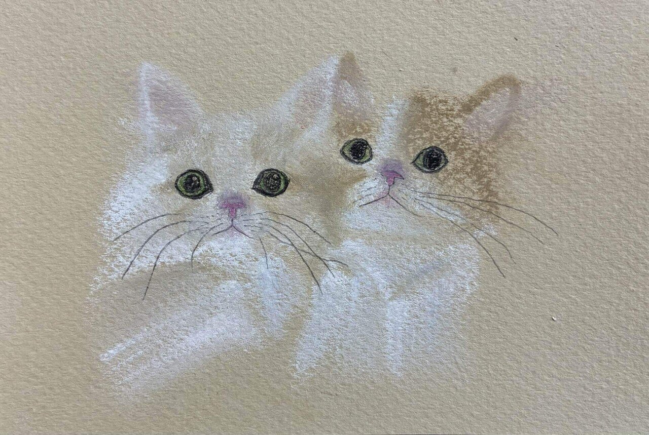 子猫の兄妹のパステル画です。｜まる