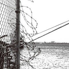 絓秀実コレクションに寄稿しました。｜綿野恵太