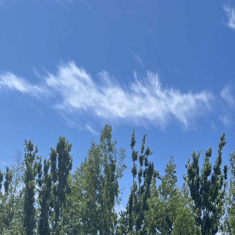 Limitless Pendantの実機レビュー｜畠山謙人│スタートアップ税務