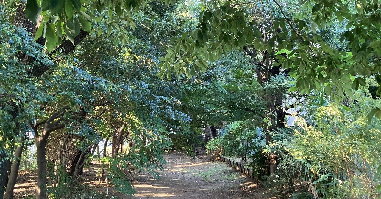 渡良瀬遊水地 ウォッチングタワー / WATARASE YUSUICHI Watching