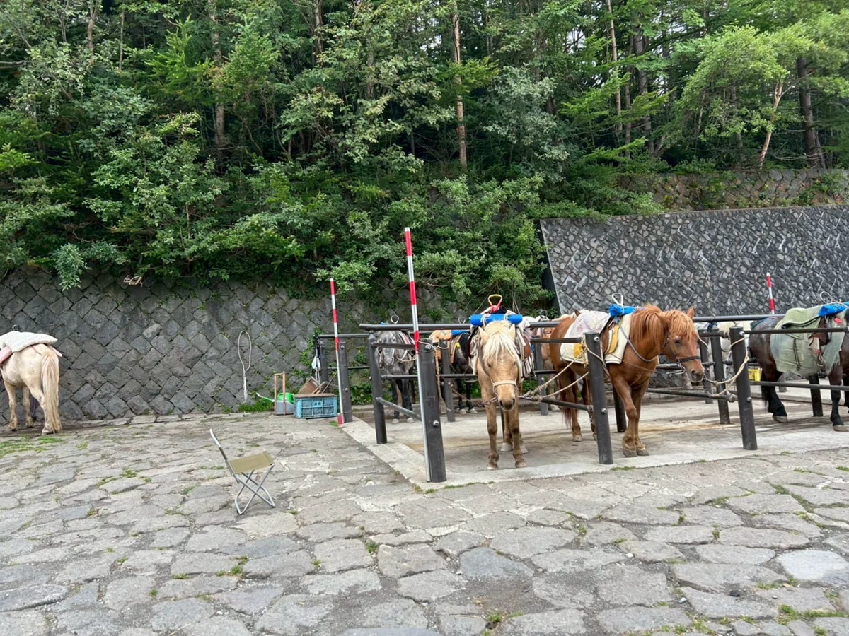 [Mountain Beginner] The story of a 30-year-old woman with no exercise ...