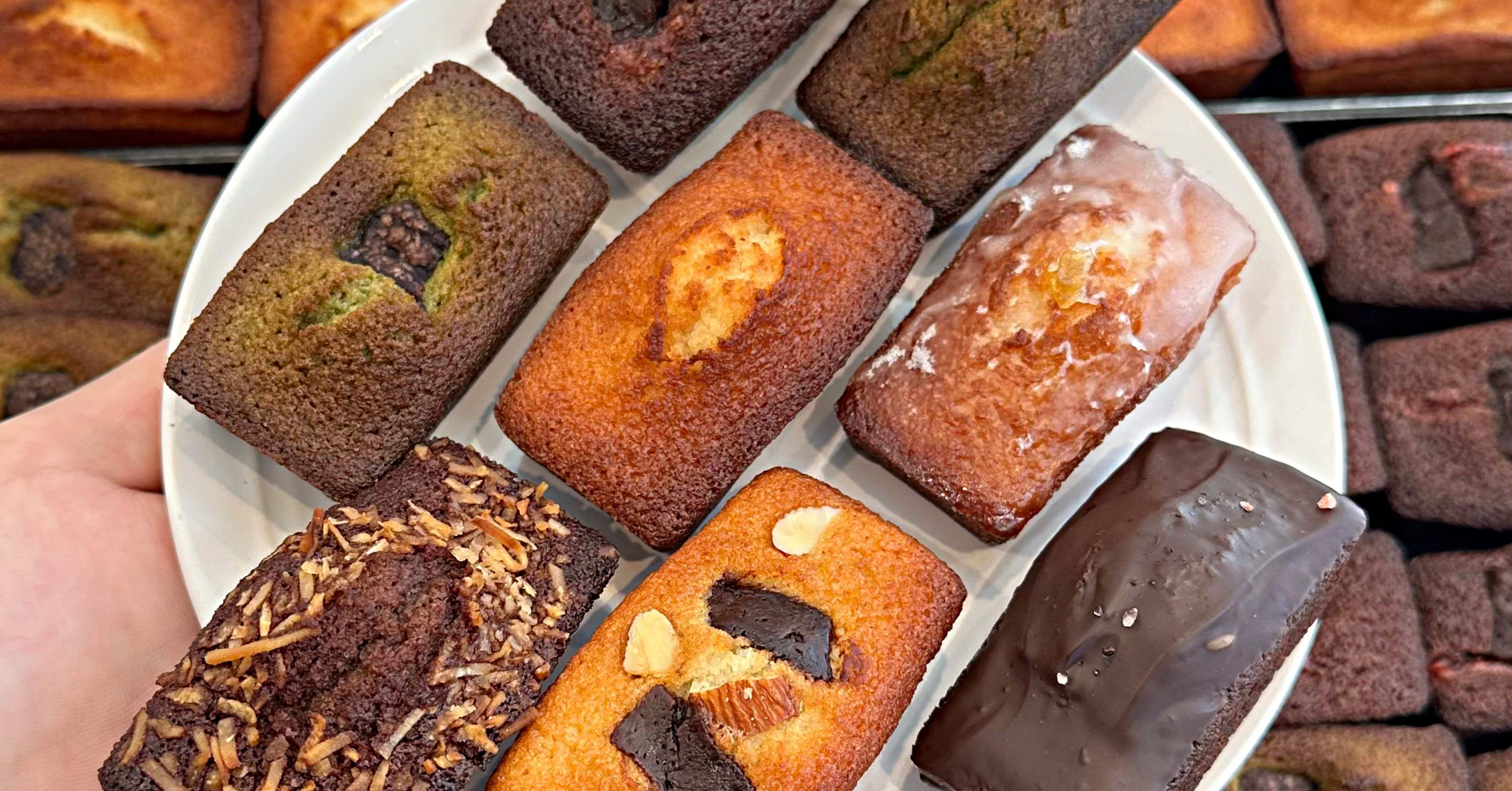 大人気のテリーヌ専門店がリニューアルオープン㊗️】｜吉田凌基の福岡