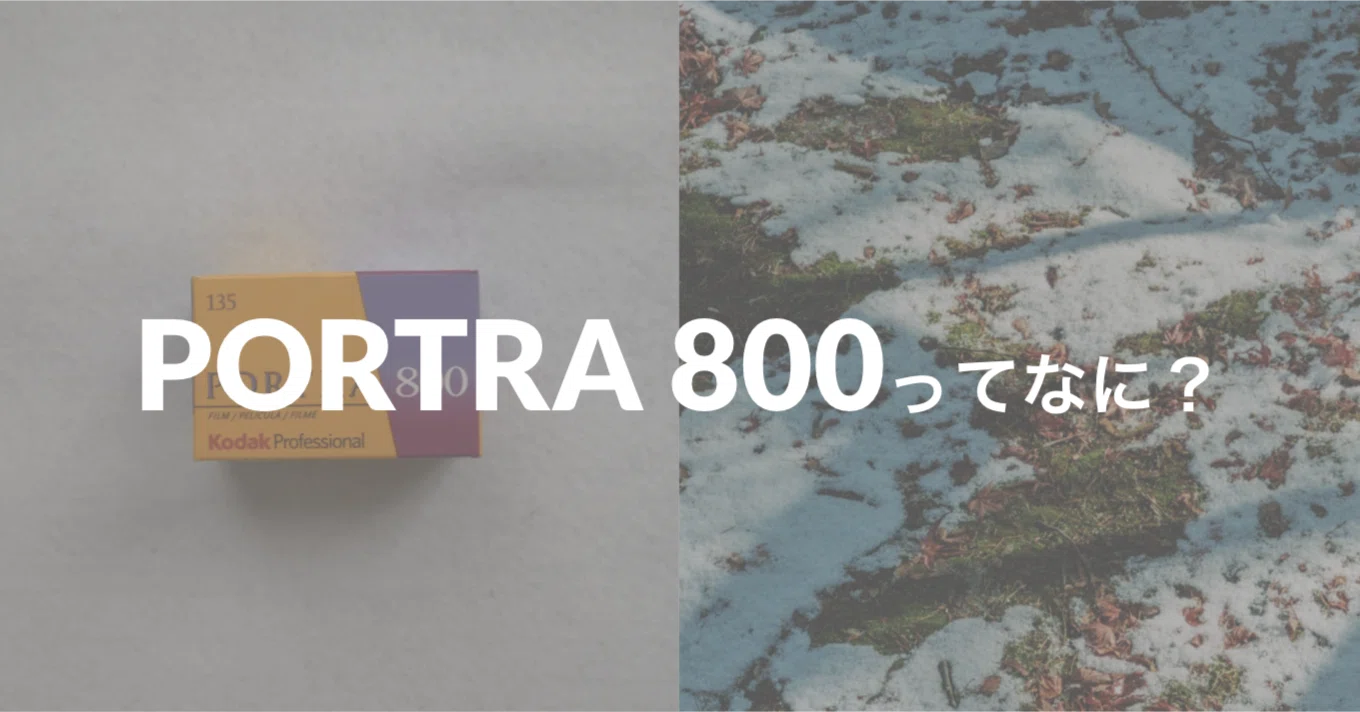 PORTRA 800 | 死角のない万能フィルム｜sadasue