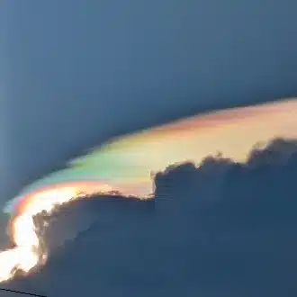 やゆよ
