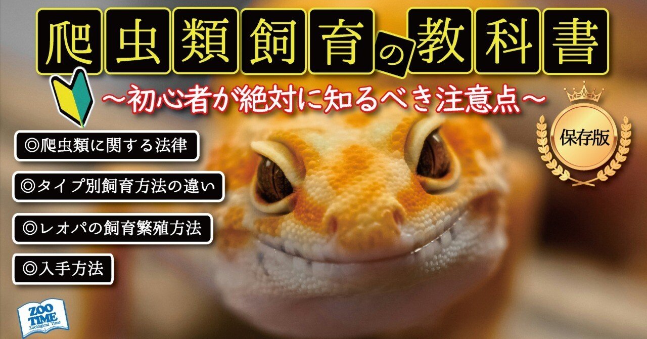 ①はじめての爬虫類飼育  】爬虫類飼育の教科書｜藤井 匠也（ZOO TIME ...