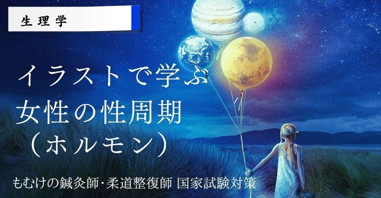 【生理学】イラストで覚える女性ホルモン（性周期）｜もぬけ国試対策 鍼・柔・あ｜note