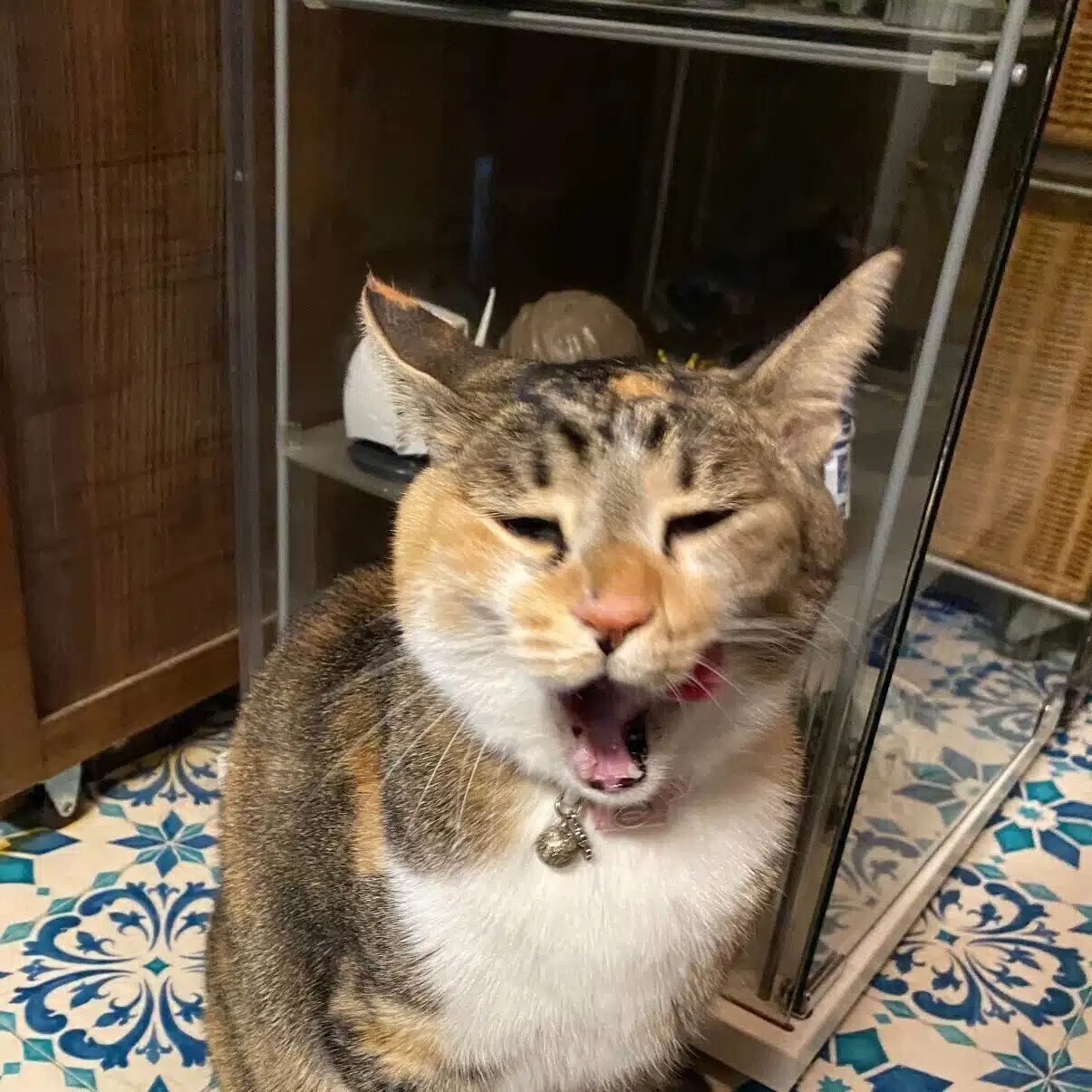 イワハシ